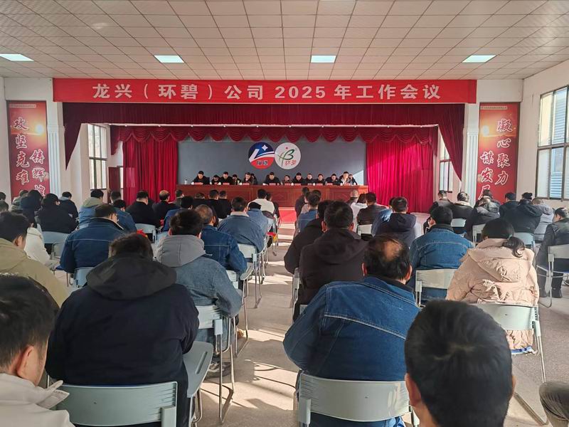 龙兴（开云NBA篮球
）公司召开2025年工作会议